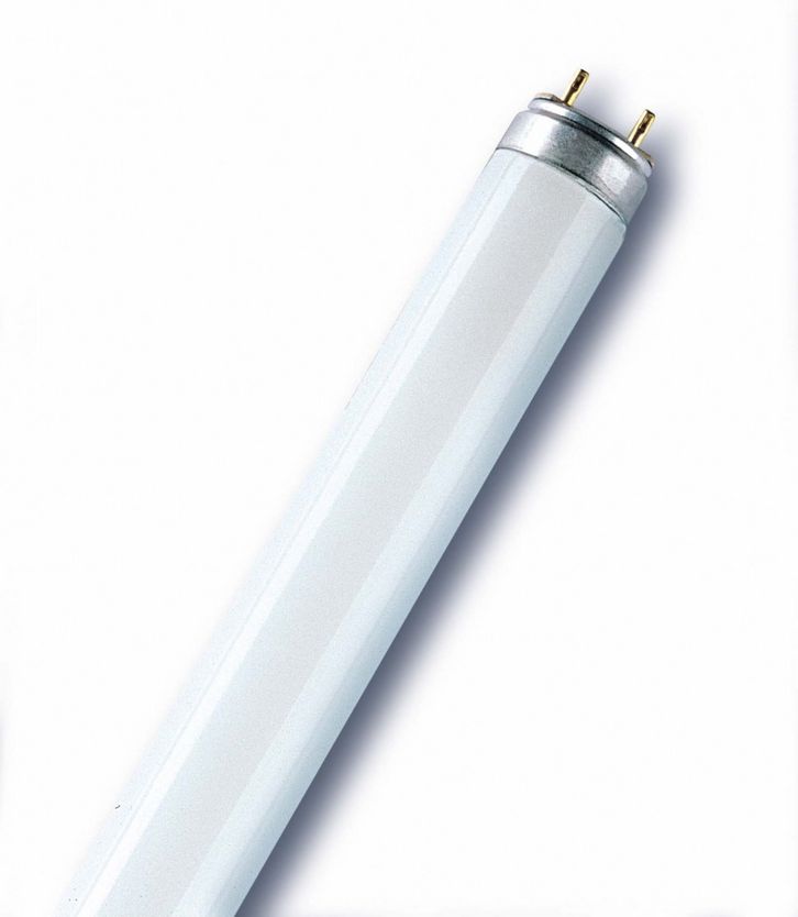 Лампа FLUORA L 30W/77 Osram  (10 шт)