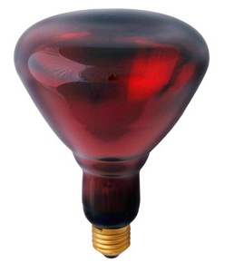 Лампа инфракрасная PRO-1960 150W E27 R123RB 500k 5000ч