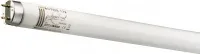 Лампа люминесцентная T8 G13 6500К 18Вт 1000Лм 600мм RA98 ACTIVA