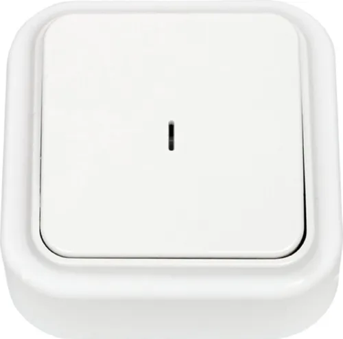 Выключатель ОУ 1-кл. с подсветкой Белый Пралеска Bylectrica