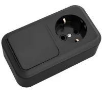 Блок ОУ 1кл. выкл.+ розетка с/з Черный Пралеска Bylectrica