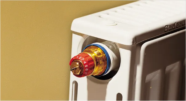 Термостаты и системы управления радиаторами