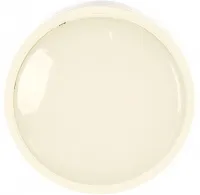 Светильник LED ЖКХ СПБ-2 24W 1700Lm 4000K IP20 круг IN HOME