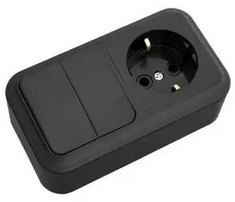 Блок ОУ 2кл. выкл.+ розетка с/з Черный Пралеска Bylectrica