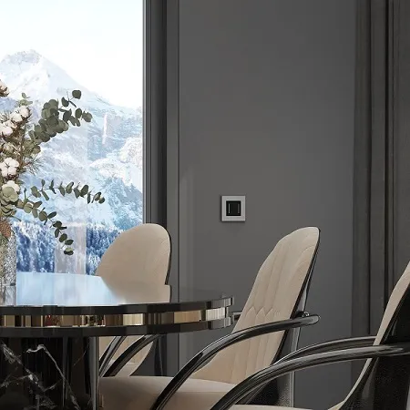 Рамка 1-я Серебряный матовый Slab WERKEL