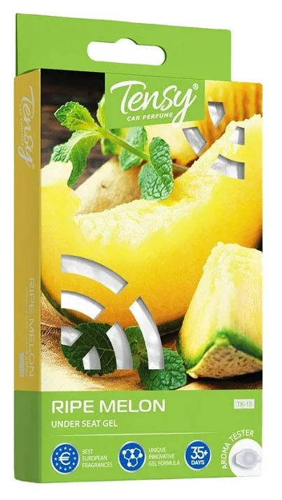 Ароматизатор Tensy ТК-13 Under seat Gel (Спелая дыня)