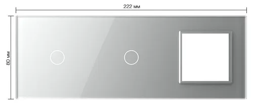 Панель для 2-х сенсорных выключателей и розетки (1+1+Р) Серый Livolo