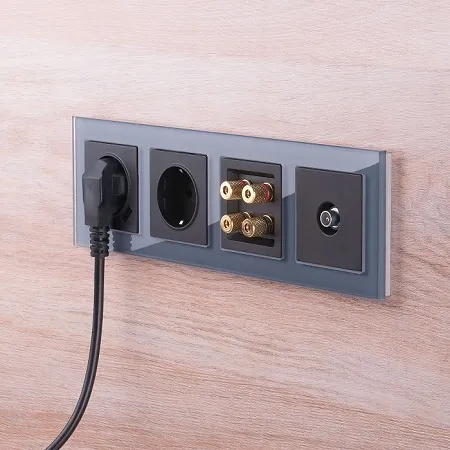 Розетка Акустическая Черный матовый WERKEL