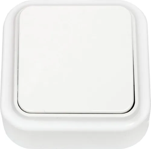 Выключатель ОУ 1-кл. Белый Пралеска Bylectrica