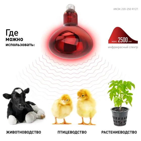 Лампа накаливания ИКЗК R127 E27 250Вт инфракрасная ЭРА