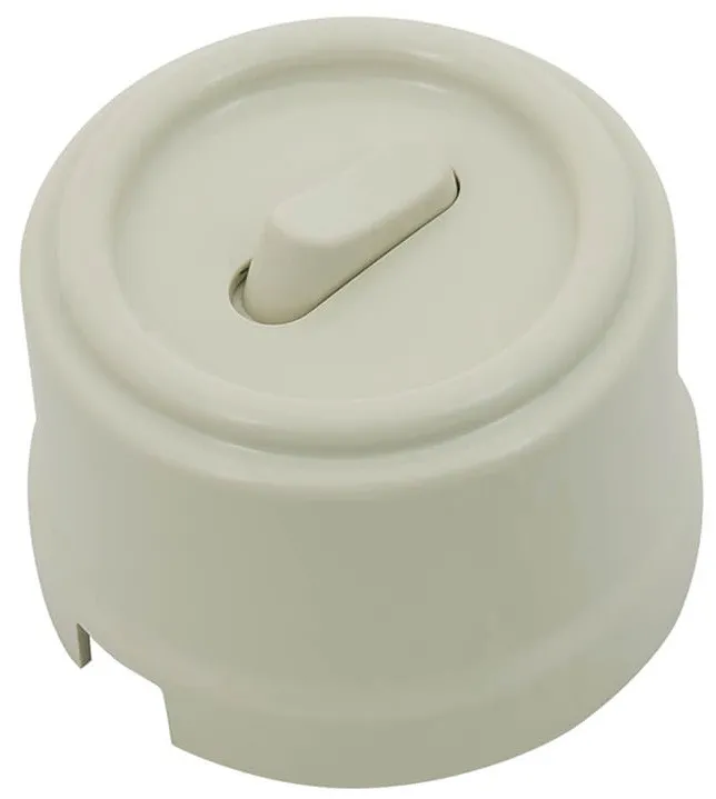 Выключатель 1-кл. Сл. кость (пластик Клавишный) Bironi