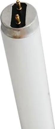 Лампа люминесцентная T8 G13 20Вт 600мм антимоскитная Ergolux