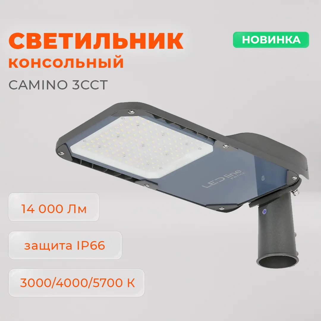 Новинка: 