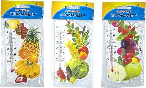 Термометр на магните сувенирный с рисунком 20-400 Стан