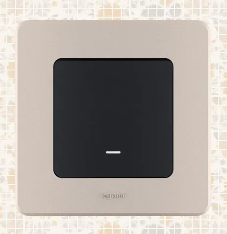 Рамка 1-я Шампань INSPIRIA LEGRAND