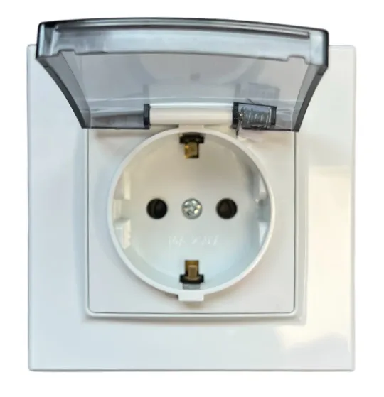 Розетка 1-я с крышкой с/з белая SD-P1013W "Standard" AWSproducts