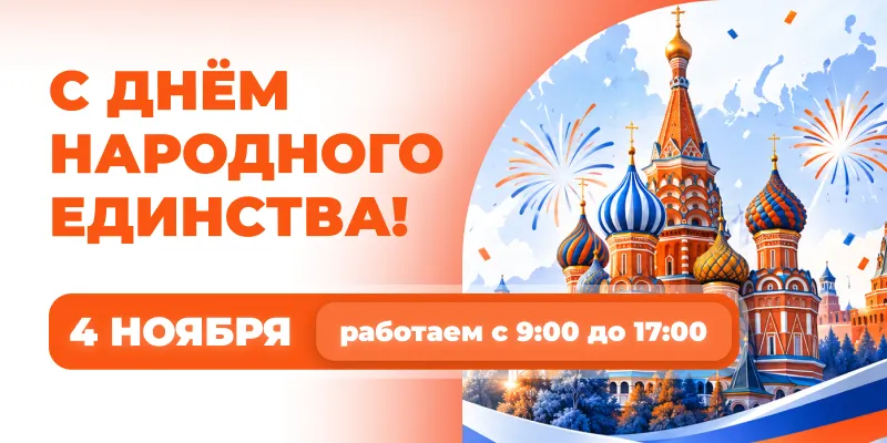 РР 4 ноября