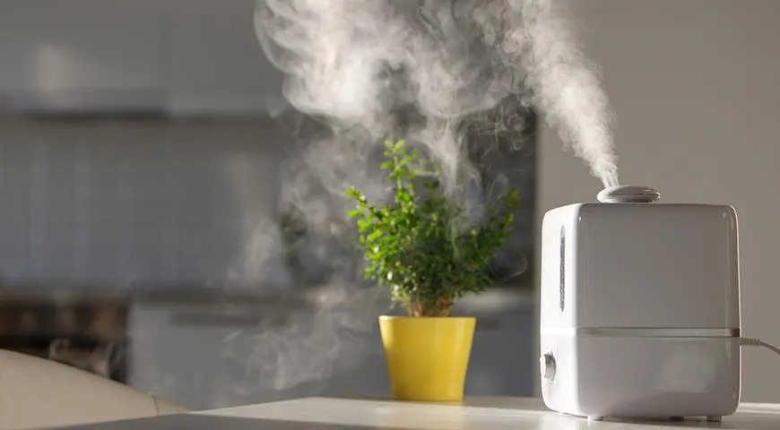 Увлажнитель воздуха: устройство