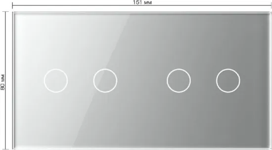 Панель для 2-х сенсорных выключателей (2+2) Серый Livolo