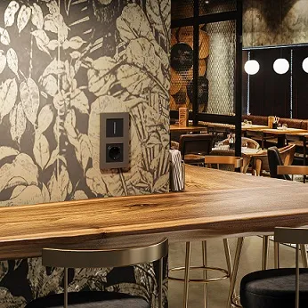 Рамка 2-я Бронза матовый Slab WERKEL