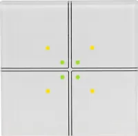 Пульт дистанционного управления FW-GS4-230-W