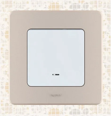 Рамка 1-я Шампань INSPIRIA LEGRAND