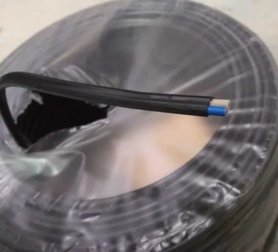 Кабель АВВГпнг(A)-LS 2* 4 (только бухтами по 100м)