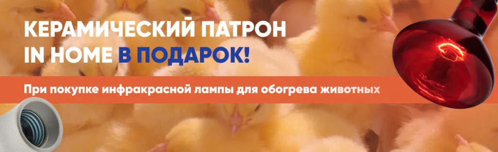 1206 369 О2 11.png 1206 369 О2 11.png