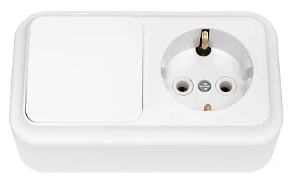 Блок ОУ 1кл. выкл.+ розетка с/з Белый Пралеска Bylectrica