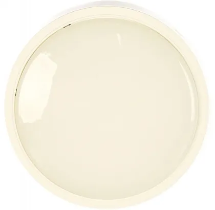 Светильник LED ЖКХ СПБ-2 24W 1700Lm 4000K IP20 круг IN HOME