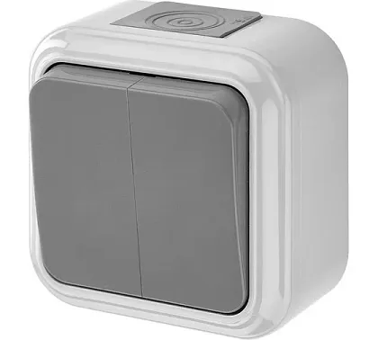 Выключатель ОУ 2-кл. IP54 Серый Пралеска Bylectrica