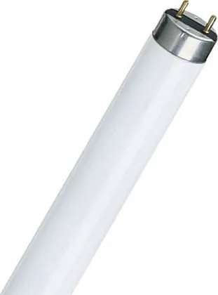 Лампа люминесцентная T8 G13 6500К 58Вт 4000Лм 1500мм Philips