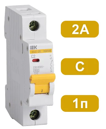 Автоматический выключатель ВА47-29 C2/1 4,5кА IEK