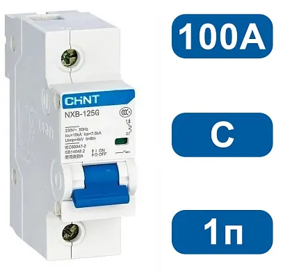 Автоматический выключатель NXB-125 C100/1 10кА CHINT