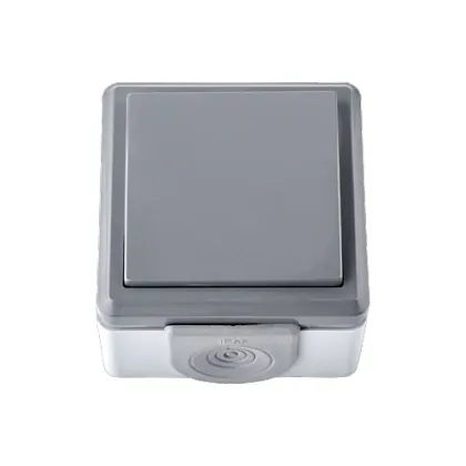 Выключатель ОУ 1-кл. IP55 Серый ПРАЛЕСКА АКВА Bylectrica