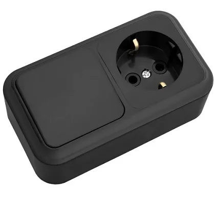 Блок ОУ 1кл. выкл.+ розетка с/з Черный Пралеска Bylectrica