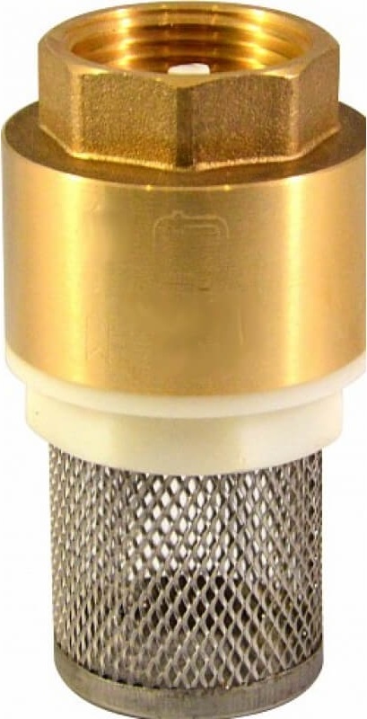 Обратный клапан с сеткой 3/4" CTM CBCVF034