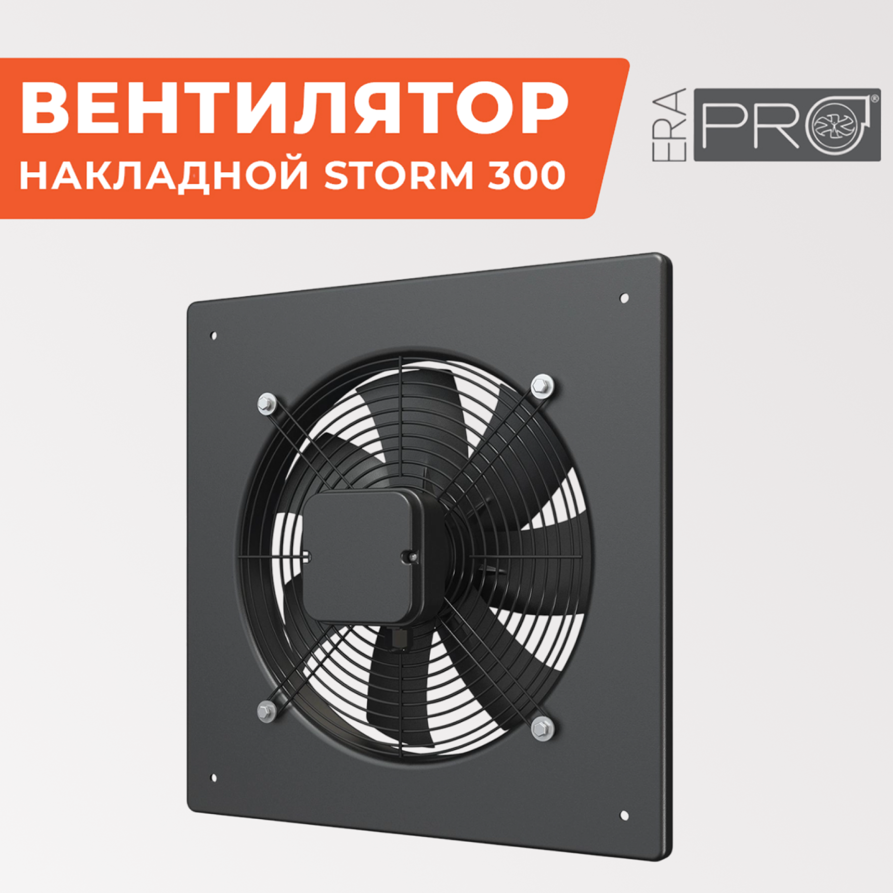 STORM 300