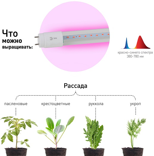 Фитолампа для растений светодиодная FITO-9W-RB-Т8-G13-NL и мясных прилавков 9Вт Т8 G13 красно-синего