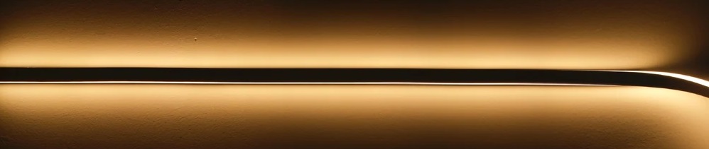 Неоновая лента (двухсторонняя) N2835 3000K 10Вт/м 24В 165Лм/м IP67 5м SWG