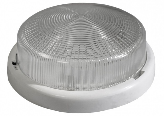 Светильник ЭРА НБО 05-100-001 с ободком Рондо пластик/стекло IP44 E27 100Вт круг белый