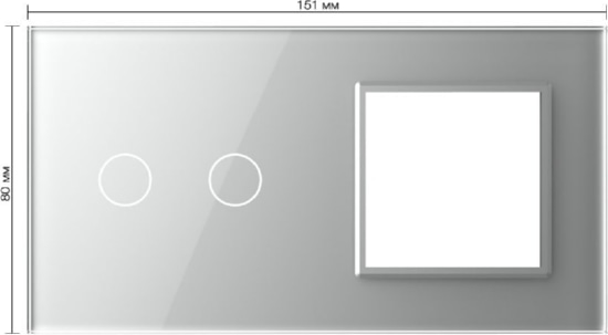 Панель для сенсорного выключателя и розетки (2+Р) Серый Livolo