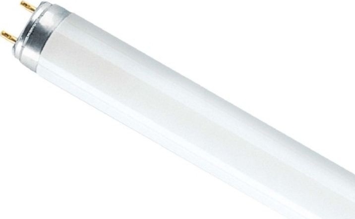 Люминесцентная лампа L18W/840 25X1 FED OSRAM