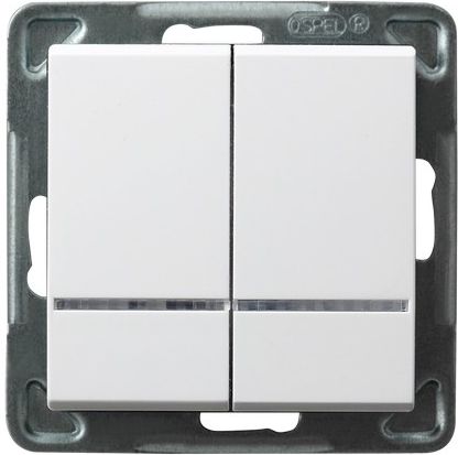 Выключатель LP-2RS/m/00 1069 2 кл. с подсветкой (без рамки)