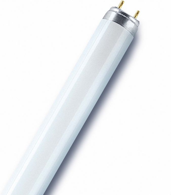 Лампа BIOLUX L 18W/965 Osram
