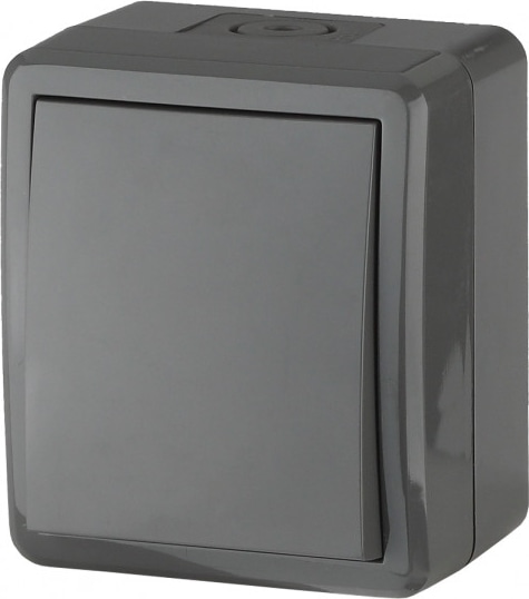 Выключатель IP54, 10AX-250В, ОУ, серый 11-1401-03 ЭРА