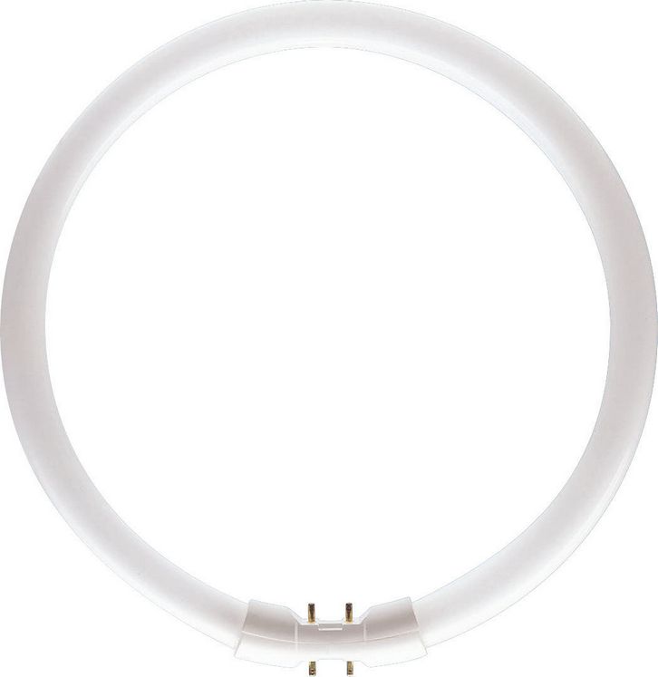 Лампа TL5 Circular Super 80 Pro 22W/840 C-T5 Philips