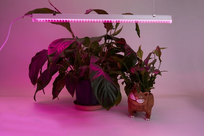 Светодиодный светильник для растений 14W, пластик, красно-синий спектр, с сетевым и соединительным ш