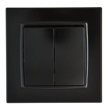 Выключатель 2-кл. чёрный SD-P1005B "Standard" AWSproducts