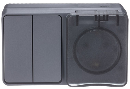 Блок ОУ розетка с/з + выключатель 2-кл. IP54 Антрацит AtlasDesign SE